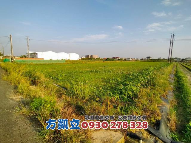 台南新市農地-6