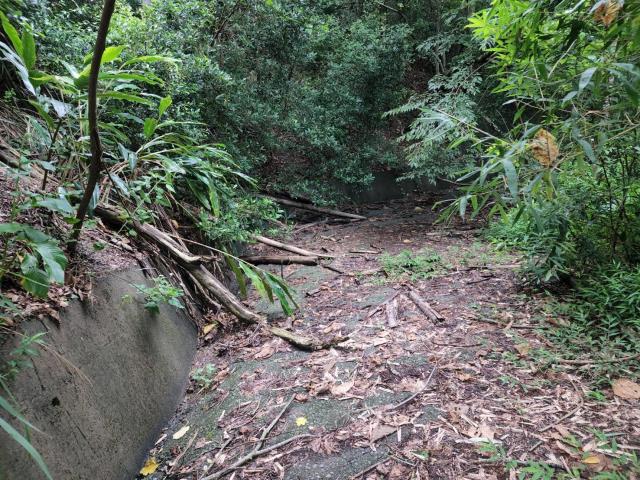 南投水里農地-1