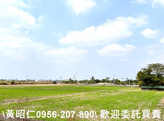 台南新化農地-1