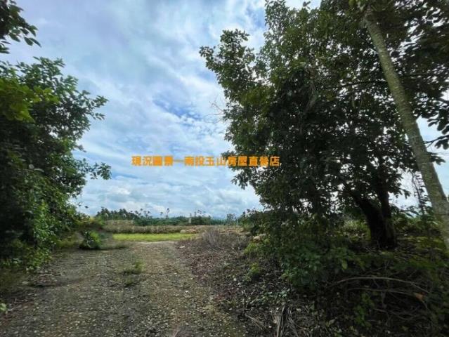 名間農地-2