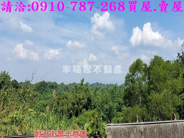 台南龍崎林地-5