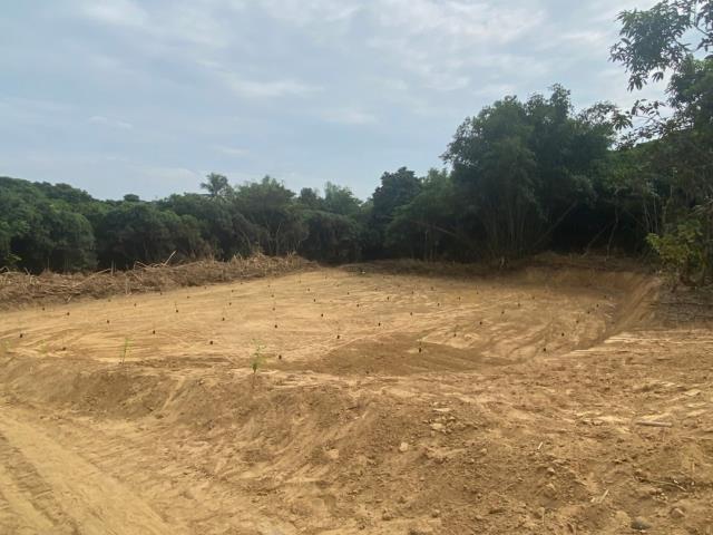 台南大內農地-6