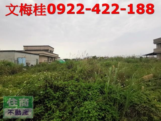 宜蘭農地-3