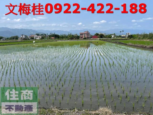 宜蘭三星農地-7