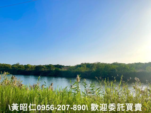 安南農地-3