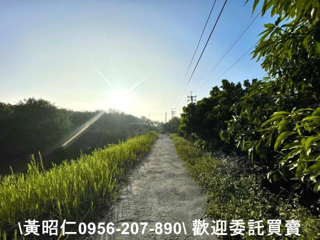 安南農地-6