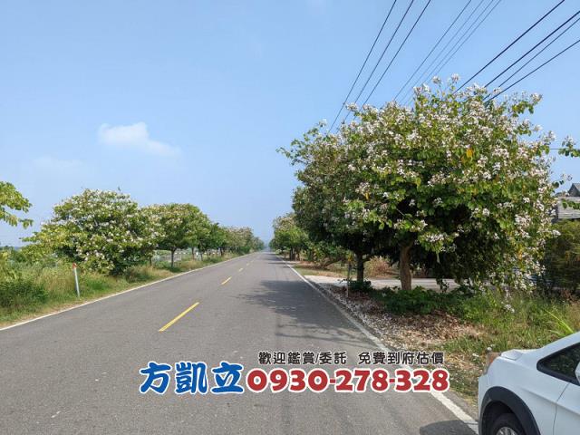 台南官田農地-5