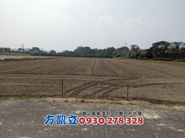 台南官田農地-9
