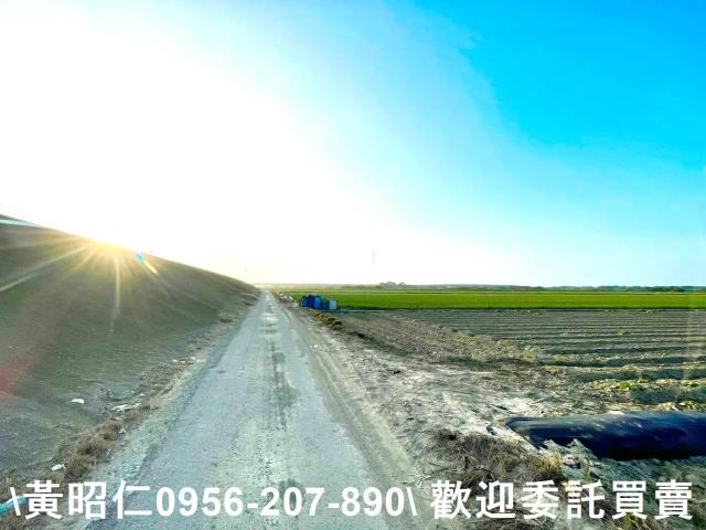 安南農地-10