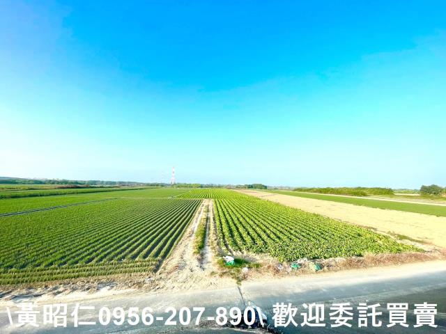 安南農地-3