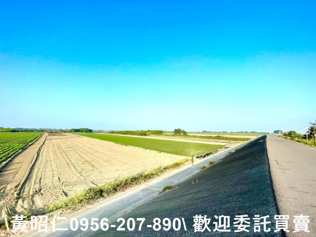 安南農地-6