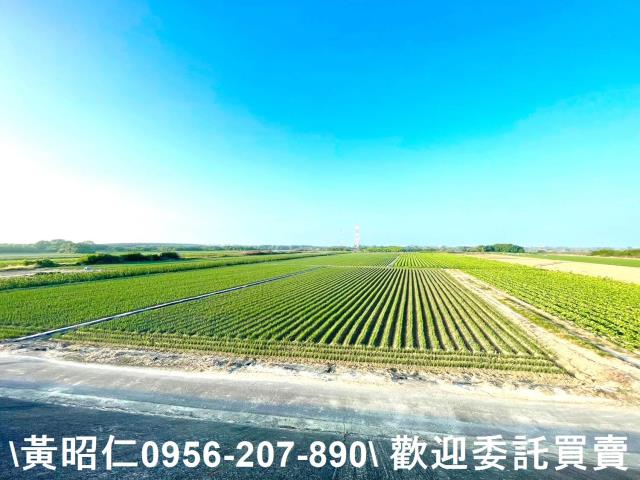 安南農地-8