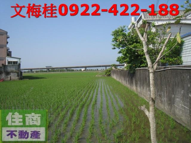 宜蘭宜蘭市農地-1