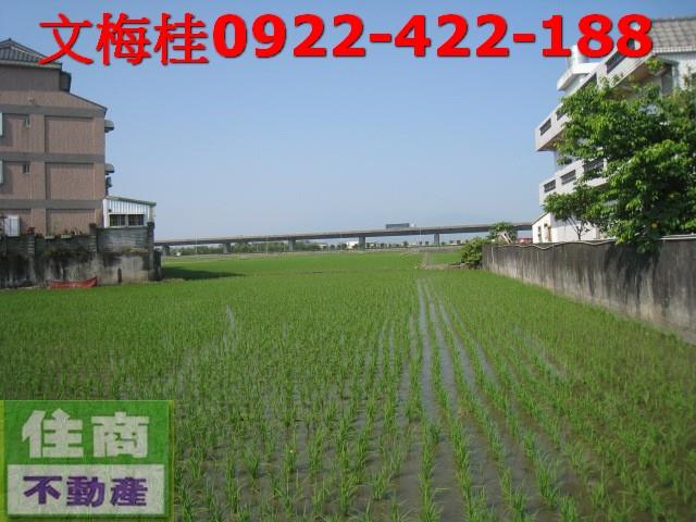 宜蘭宜蘭市農地-2