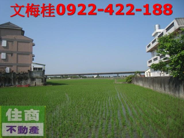宜蘭宜蘭市農地-3