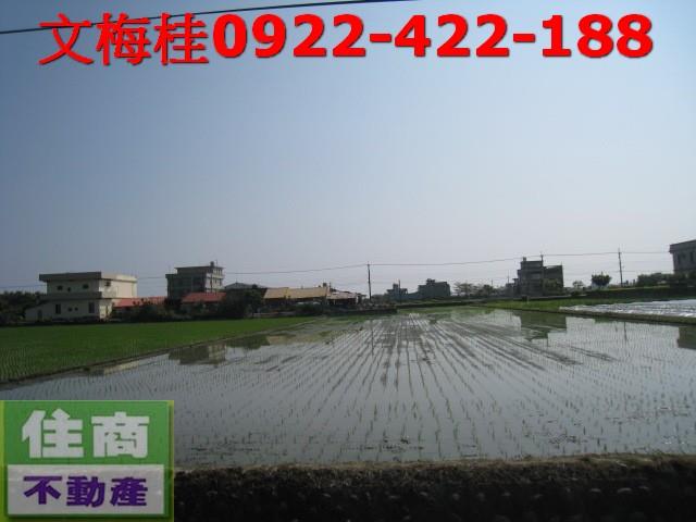 宜蘭宜蘭市農地-4