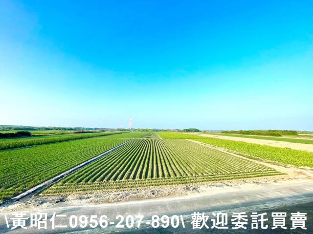 安南農地-2