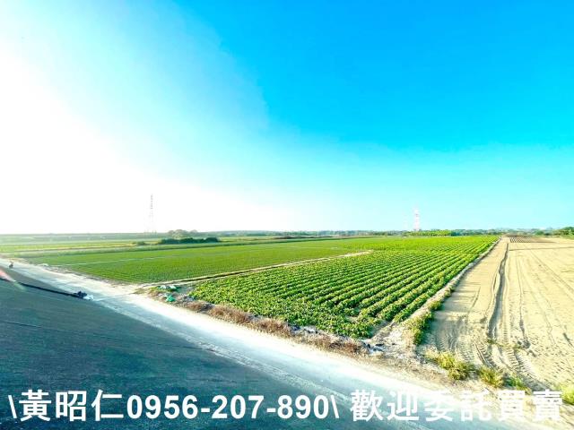 安南農地-5
