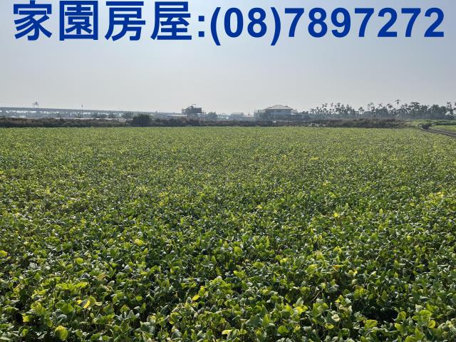屏東潮州農地-4