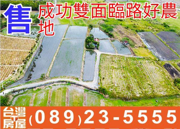 成功雙面臨路好農地