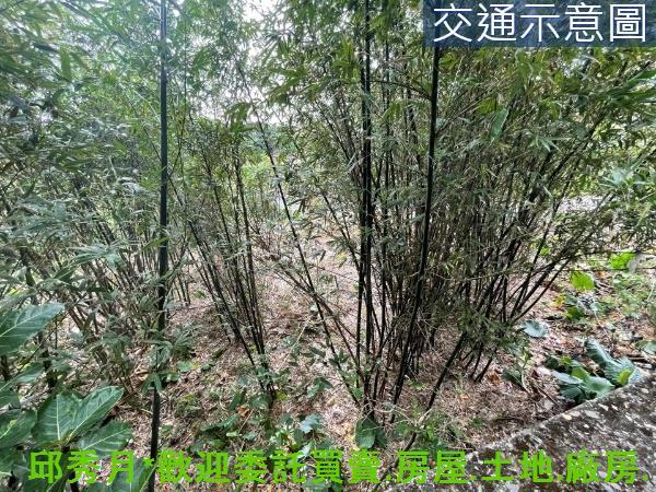 新北三芝農地-2