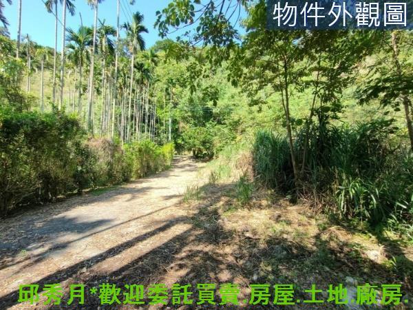 新北石門農地-3