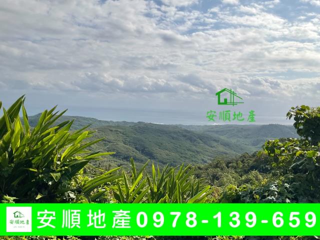 卑南農地-4