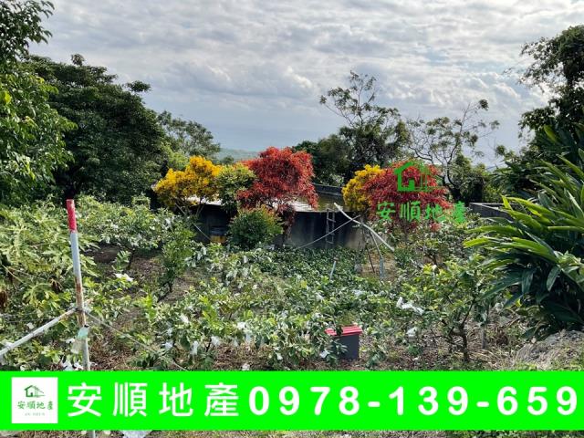 卑南農地-6