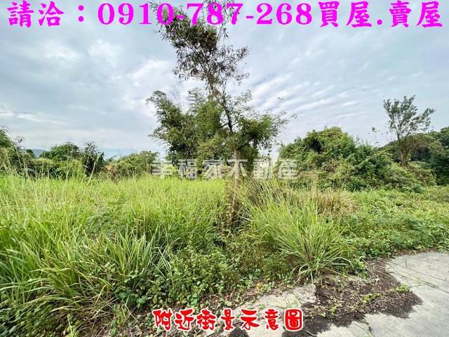 柳營農地-11