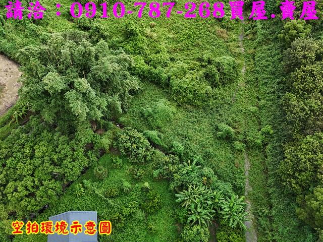 柳營農地-2