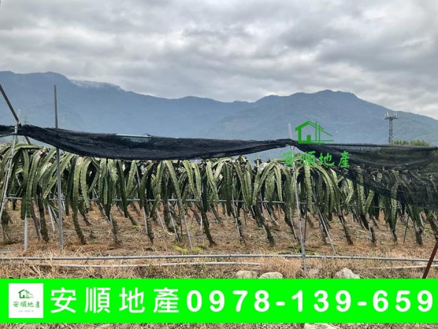 關山農地-1