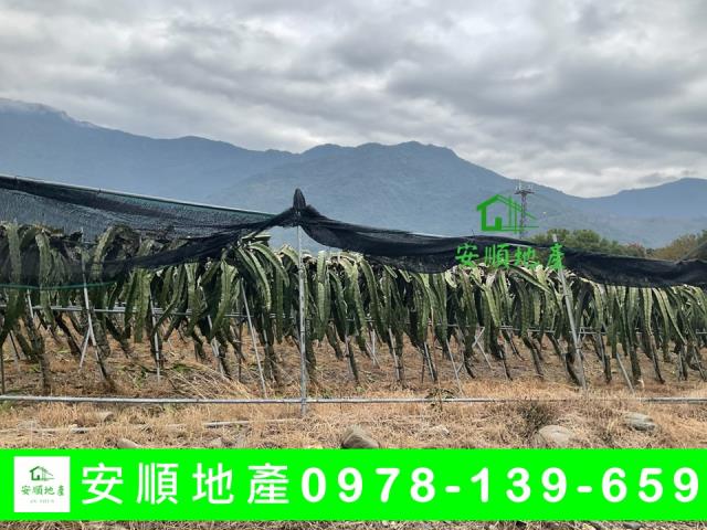 關山農地-2