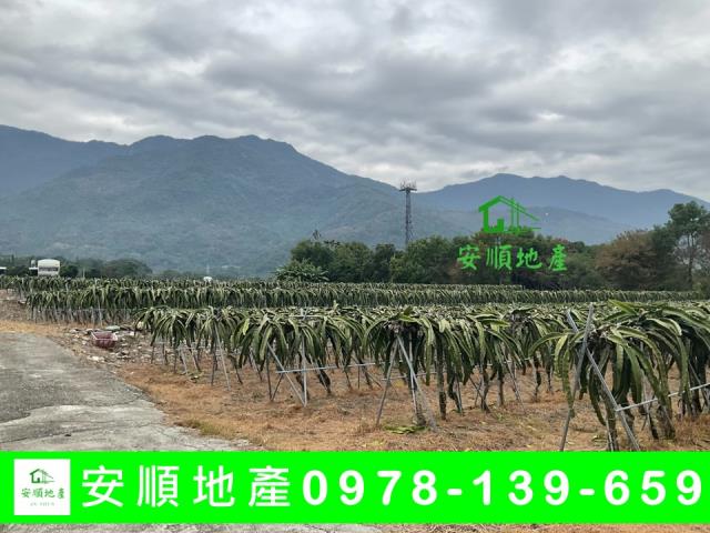 關山農地-5