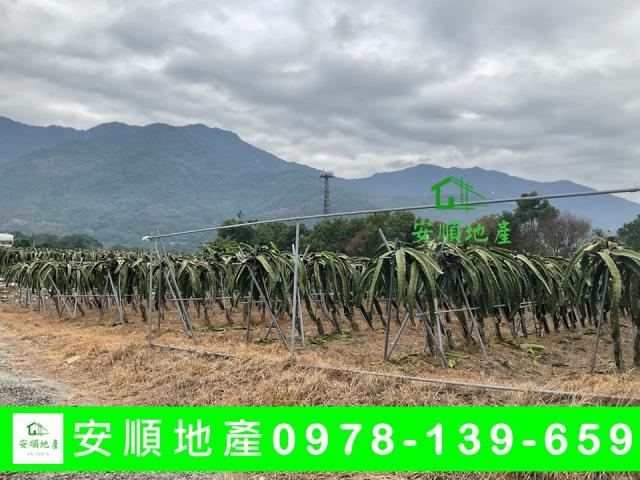 關山農地-6