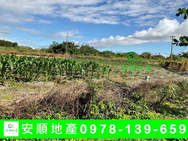 台東市農地-1
