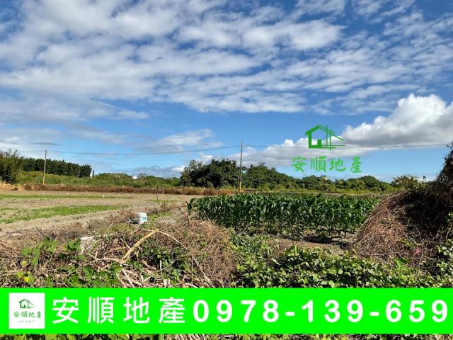 台東市農地-2