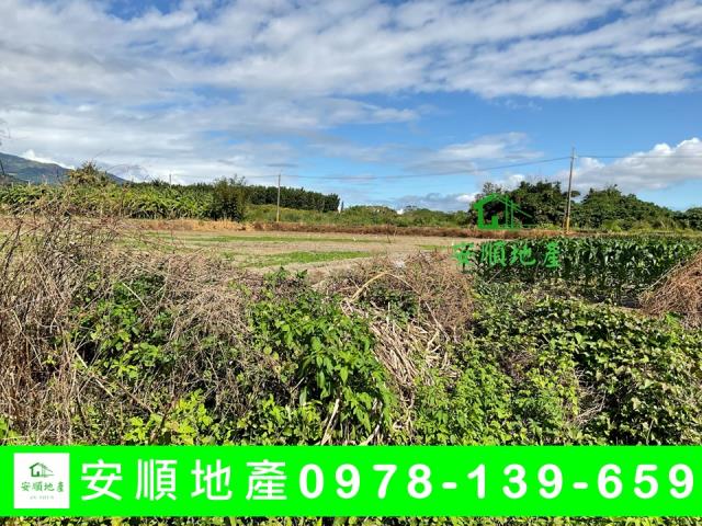 台東市農地-7