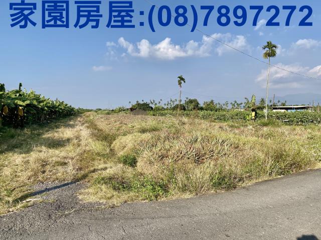 潮州農地-2