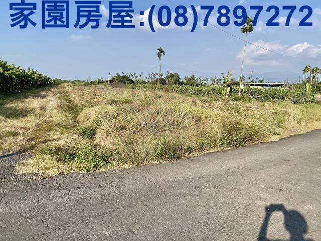 潮州農地-3