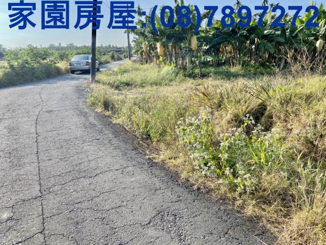 潮州農地-4