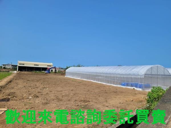 新北農地-2