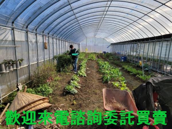 新北農地-4