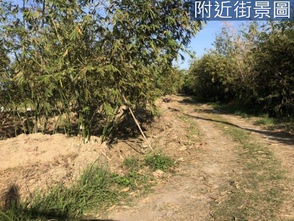 關廟農地-3