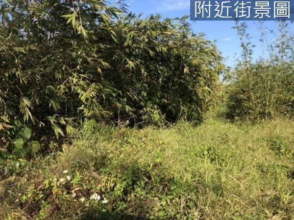 關廟農地-4