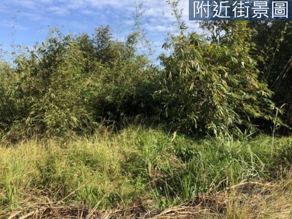 關廟農地-5