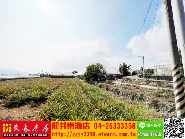 南投南投市農地-4