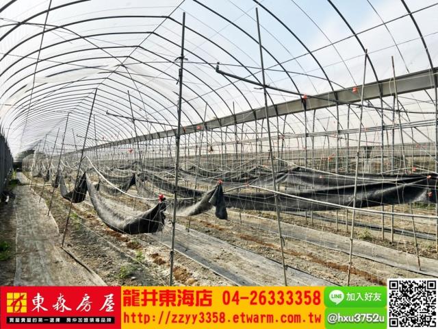 南投南投市農地-5