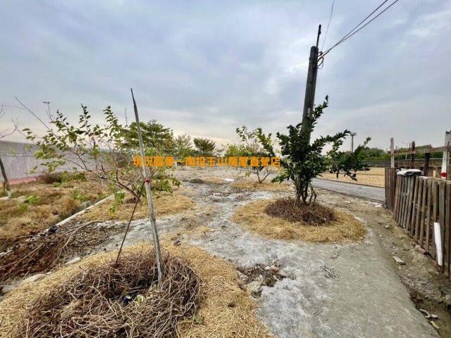 南投草屯農地-1