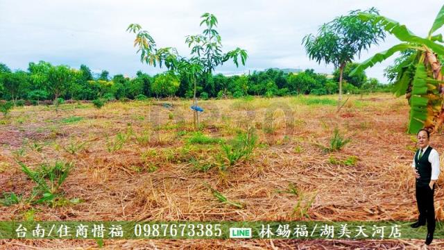 仁德農地-5