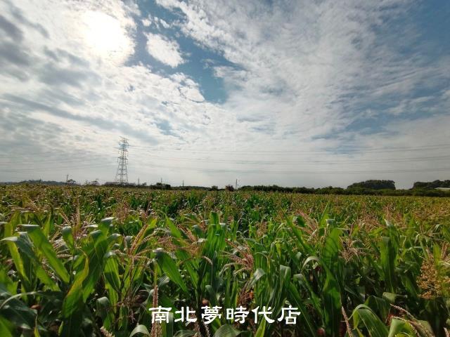 官田農地-4
